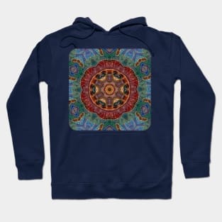 A Ring of Eyes Hoodie